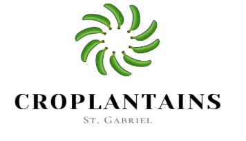 Croplantains